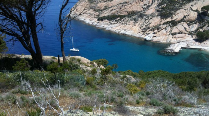 Il Conte e l’Isola